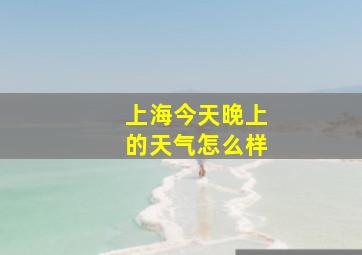 上海今天晚上的天气怎么样