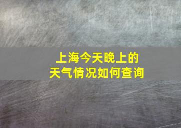 上海今天晚上的天气情况如何查询