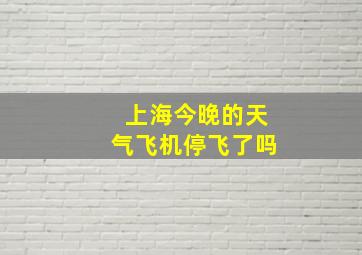 上海今晚的天气飞机停飞了吗