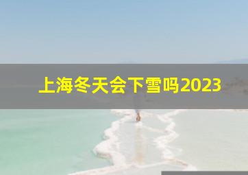 上海冬天会下雪吗2023