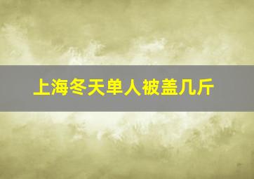 上海冬天单人被盖几斤