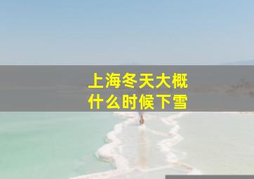 上海冬天大概什么时候下雪