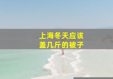 上海冬天应该盖几斤的被子