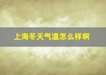 上海冬天气温怎么样啊