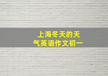 上海冬天的天气英语作文初一