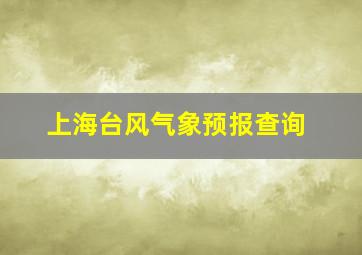 上海台风气象预报查询