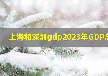 上海和深圳gdp2023年GDP总量