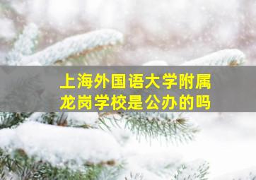 上海外国语大学附属龙岗学校是公办的吗