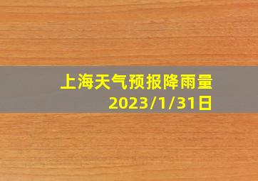 上海天气预报降雨量2023/1/31日