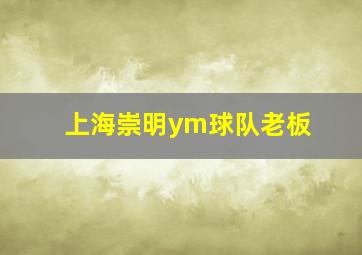 上海崇明ym球队老板