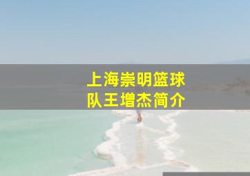 上海崇明篮球队王增杰简介