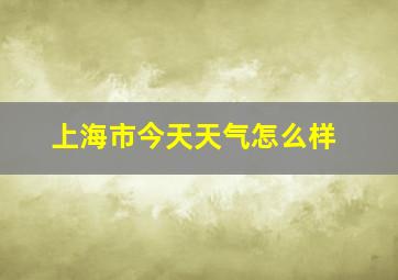 上海市今天天气怎么样