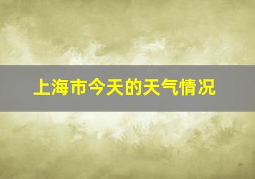 上海市今天的天气情况