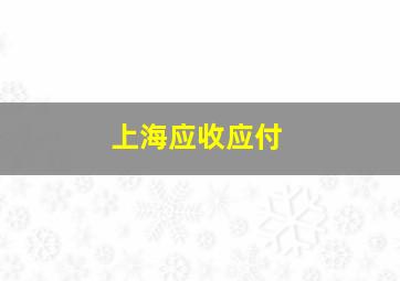 上海应收应付