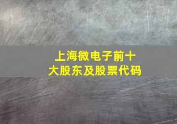 上海微电子前十大股东及股票代码