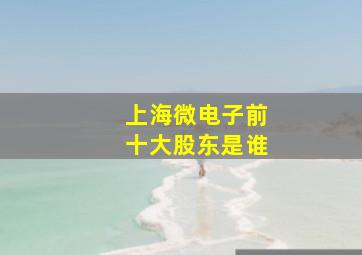 上海微电子前十大股东是谁