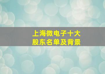 上海微电子十大股东名单及背景