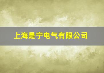 上海是宁电气有限公司