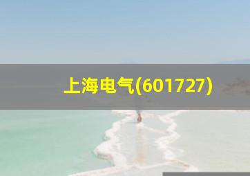 上海电气(601727)