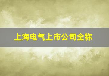 上海电气上市公司全称