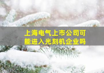 上海电气上市公司可能进入光刻机企业吗