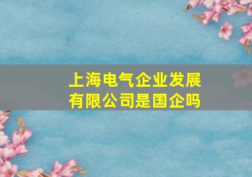 上海电气企业发展有限公司是国企吗