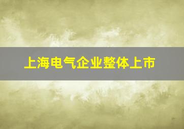 上海电气企业整体上市