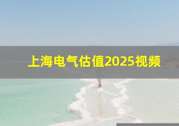 上海电气估值2025视频