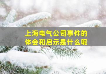 上海电气公司事件的体会和启示是什么呢