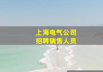 上海电气公司招聘销售人员