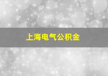 上海电气公积金