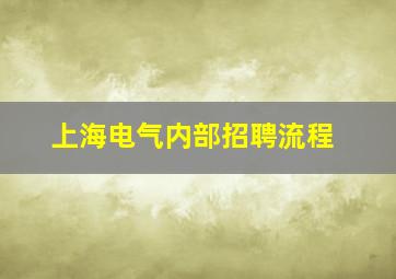 上海电气内部招聘流程