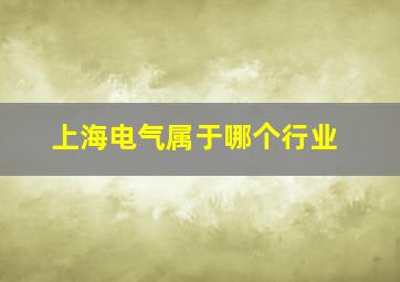 上海电气属于哪个行业