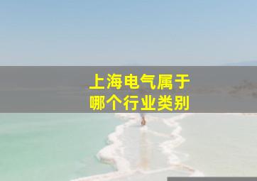 上海电气属于哪个行业类别