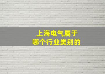 上海电气属于哪个行业类别的