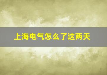 上海电气怎么了这两天