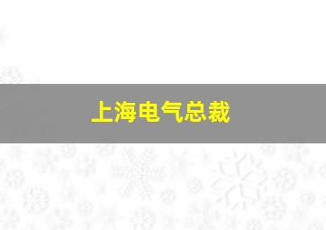 上海电气总裁