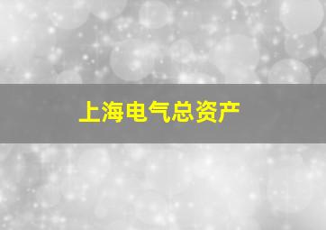 上海电气总资产