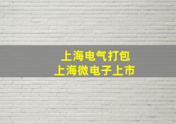 上海电气打包上海微电子上市