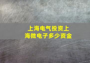 上海电气投资上海微电子多少资金