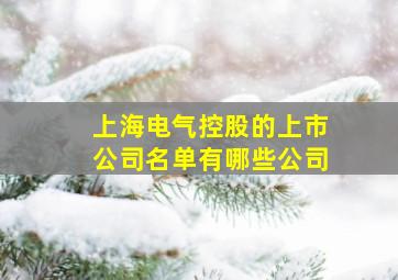 上海电气控股的上市公司名单有哪些公司