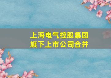 上海电气控股集团旗下上市公司合并