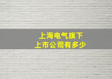 上海电气旗下上市公司有多少