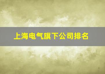 上海电气旗下公司排名