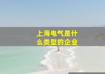 上海电气是什么类型的企业