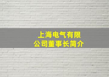 上海电气有限公司董事长简介