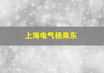 上海电气杨乘东