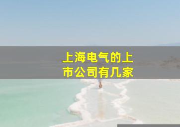 上海电气的上市公司有几家