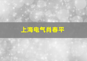 上海电气肖春平