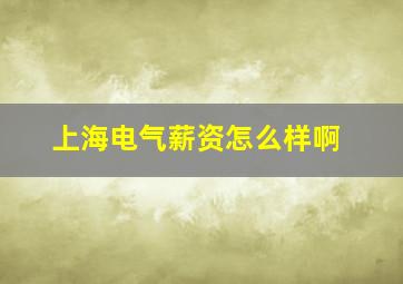 上海电气薪资怎么样啊